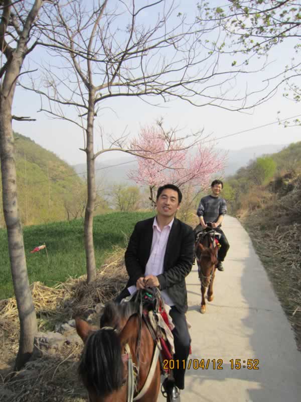 �T�R��ɽ��