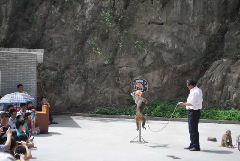 �Ʒ�5��19�Ճ�Ӱ�L(f��ng)���^(q��)���[����