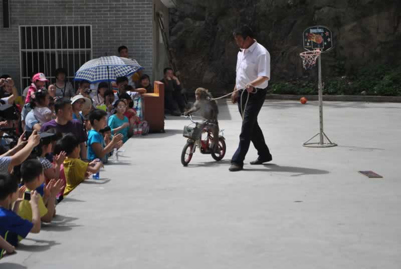 �����T����܇(ch��)