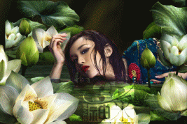 ��ɏ���wЧ���D