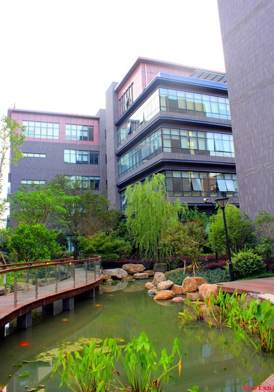 �W(w��ng)վ��(y��u)��֮�W(w��ng)վ����½���ԭ������Щ��