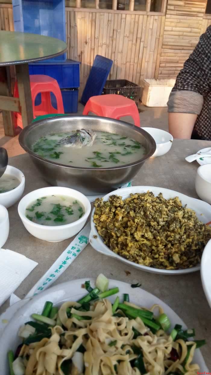 �W(w��ng)վ���O(sh��)�Ͳͭh(hu��n)��