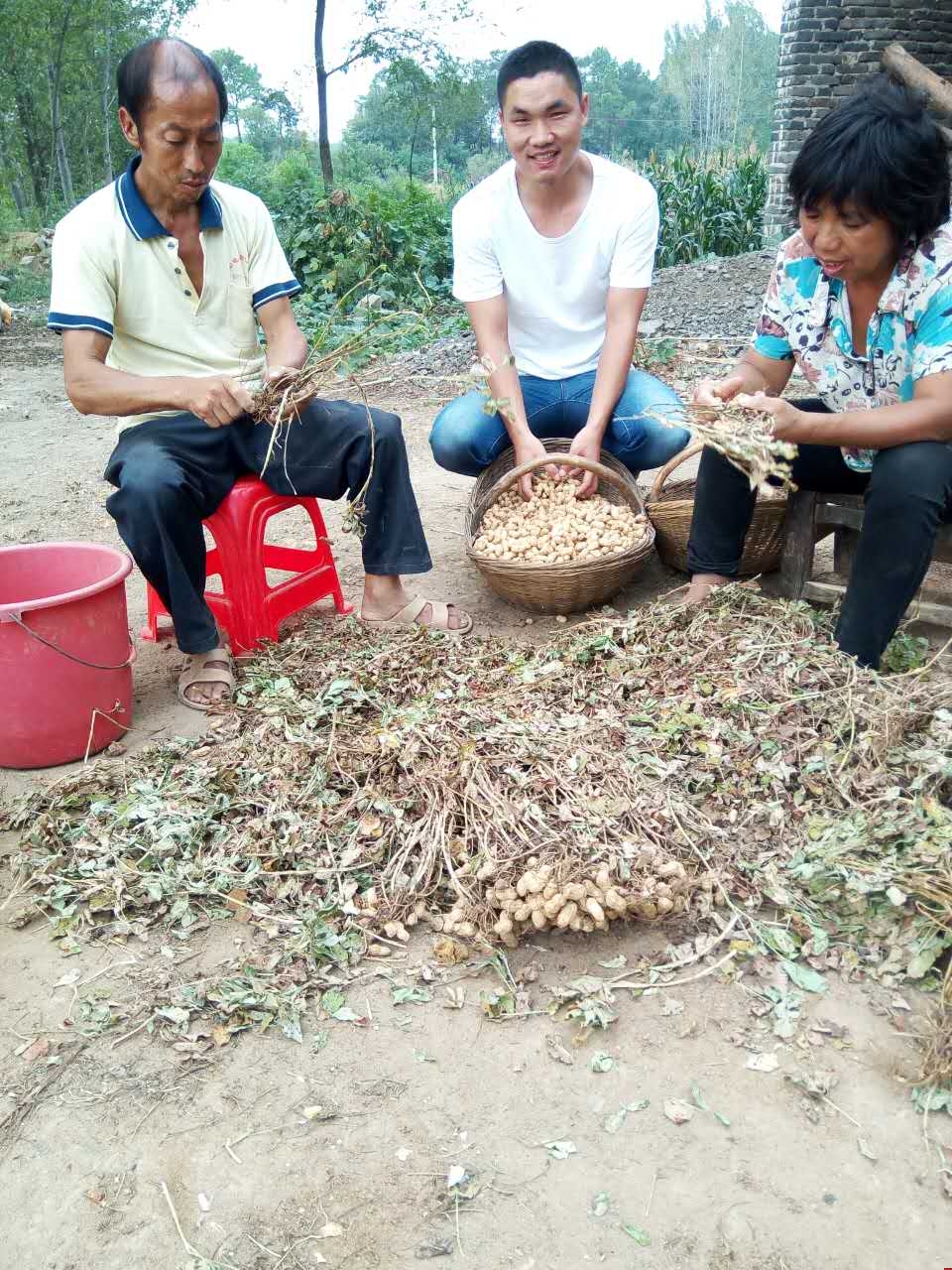 �Ʒ�2016���﹝(ji��)׌���c��ĸ�F(tu��n)�A���(d��ng)