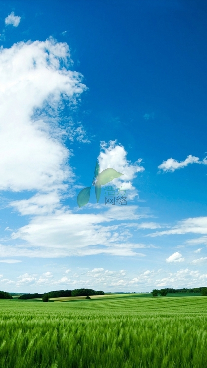 WZ125C���֙C�W(w��ng)վ���O(sh��)