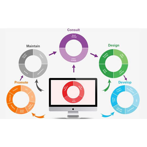 푑�(y��ng)ʽ����O(sh��)Ӌ(j��)�W(w��ng)վ��څ����ʲô